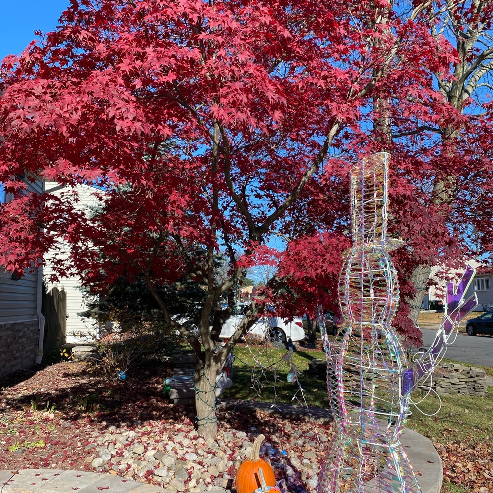 Meet your Posher, Shandi